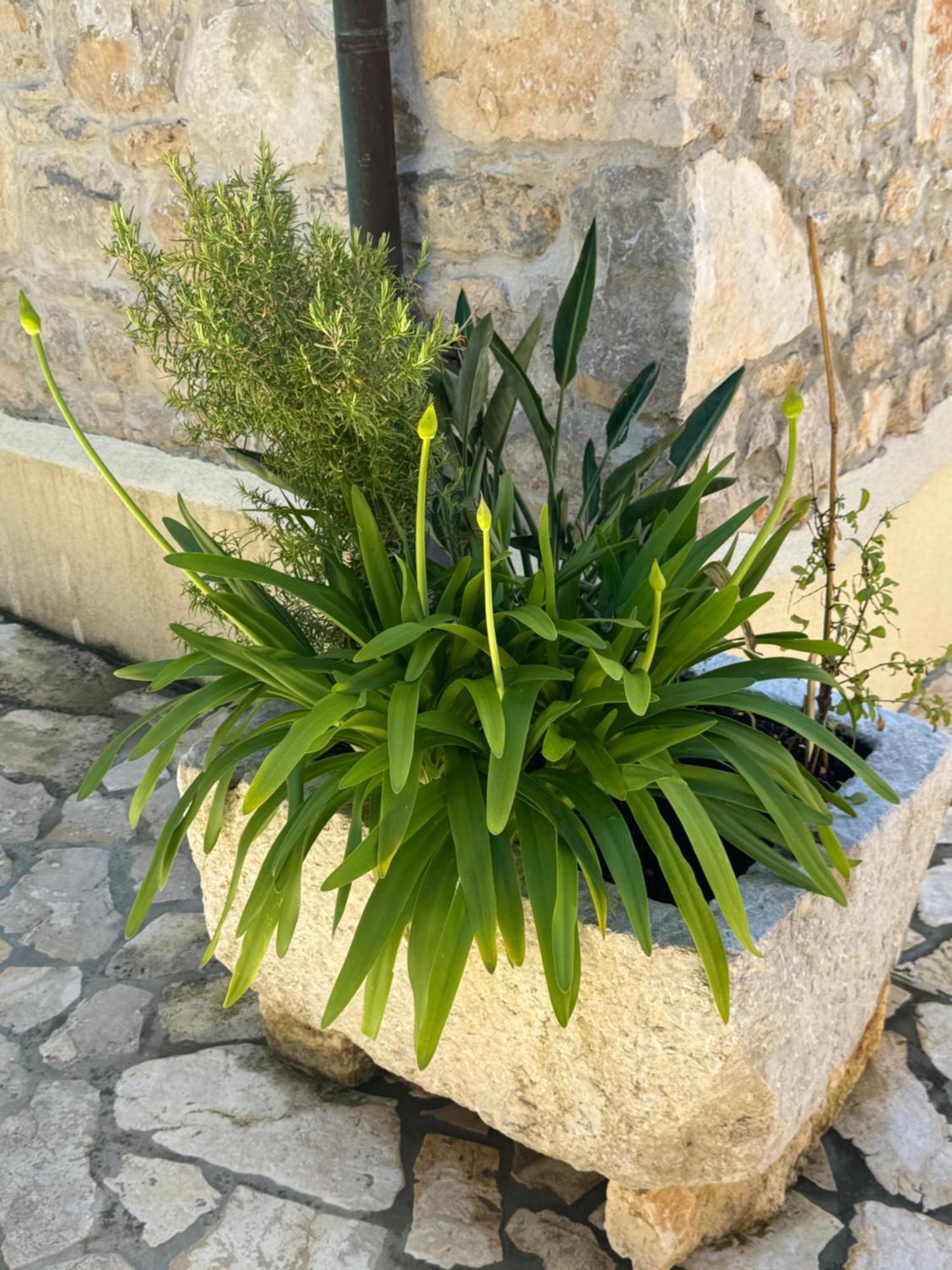 Mediterranes Ferienhaus M. Terrasse Veli Lošinj Exteriör bild